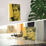 Han Solo fabric panel interior art miscellaneous goods stw-0011