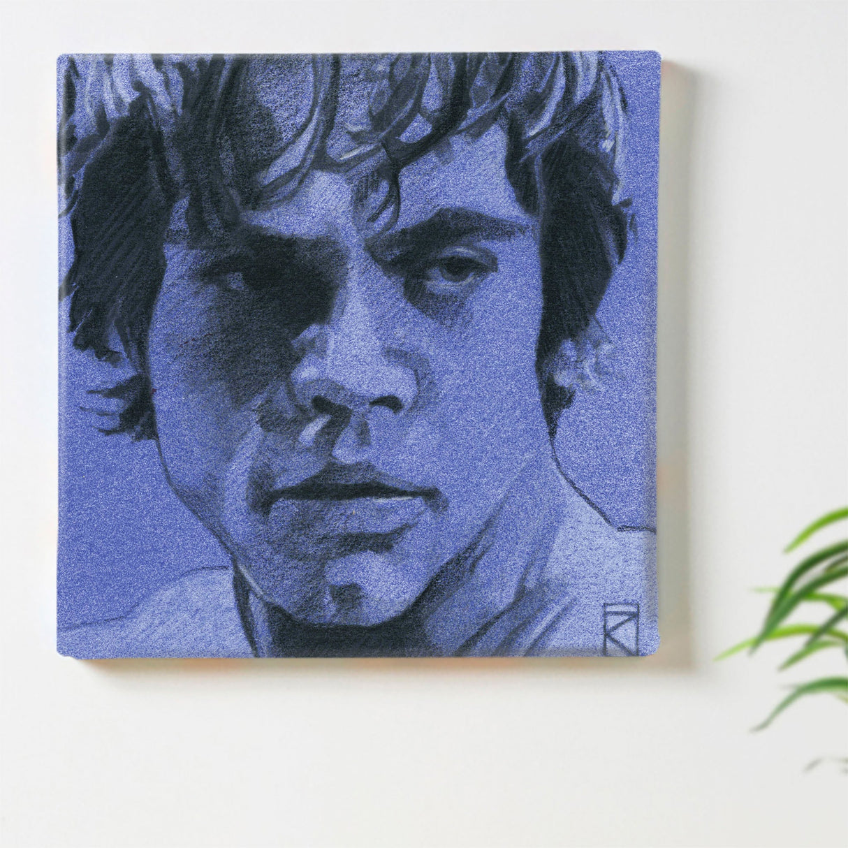 Luke Skywalker art panel interior art miscellaneous goods stw-0017