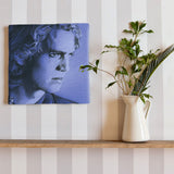 Anakin Skywalker art panel interior art miscellaneous goods stw-0022