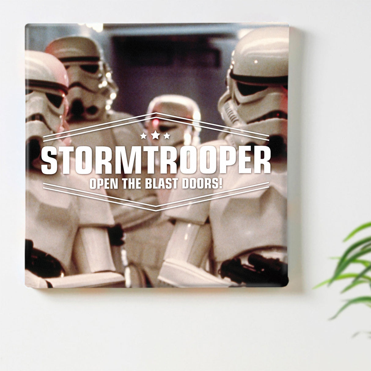 "Storm Trooper" Star Wars Fabric Board Interior Art Goods stw-0032