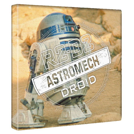 「R2-D2」スターウォーズのファブリックボード インテリア アート 雑貨 stw-0034