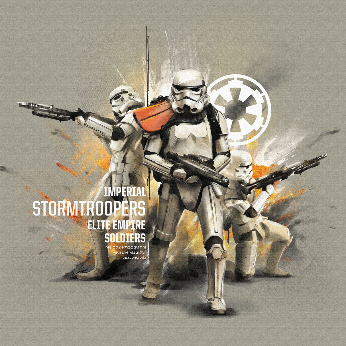 Stormtrooper wall art interior goods art Star Wars Rogue One stw-0069